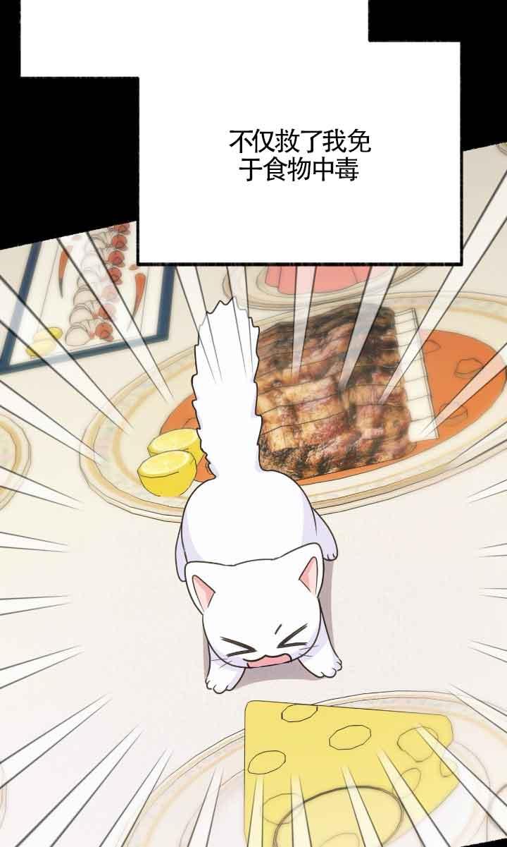 成了每晚和偏执暴君共眠的猫 - 第04话 - 第26张图