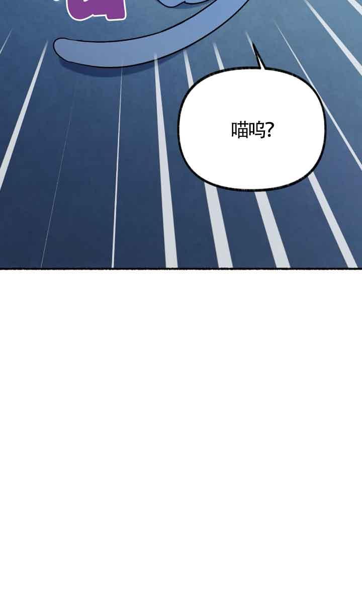 成了每晚和偏执暴君共眠的猫 - 第04话 - 第48张图