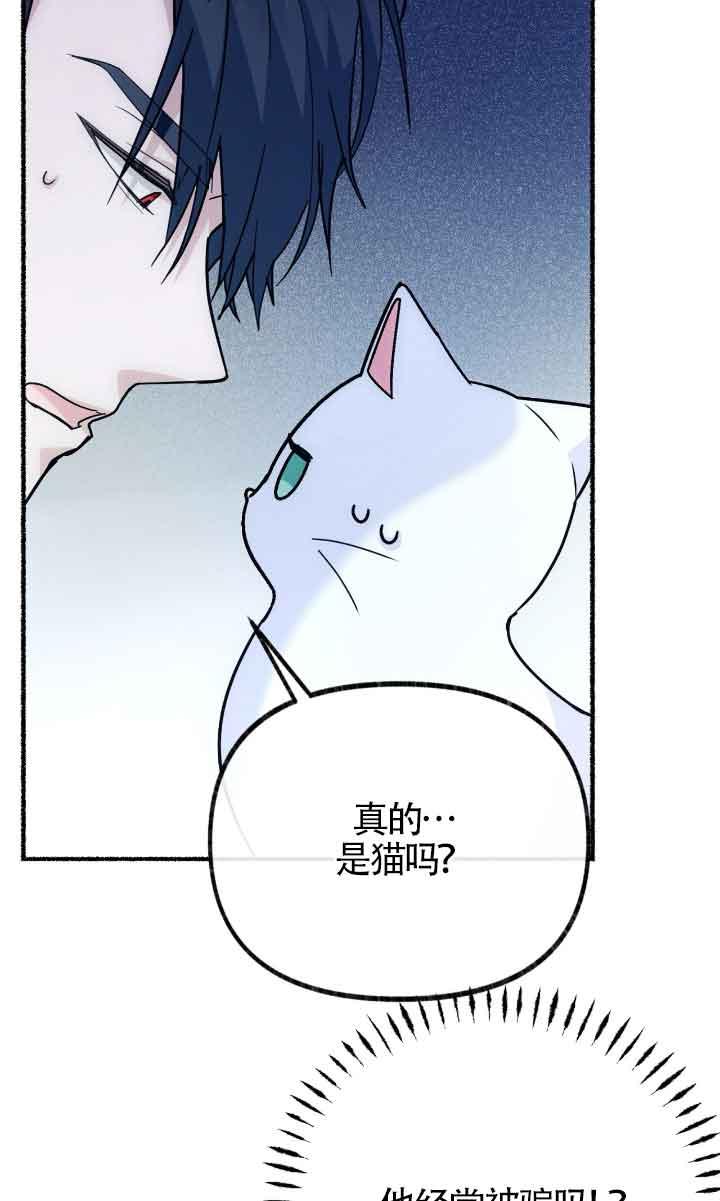 成了每晚和偏执暴君共眠的猫 - 第04话 - 第66张图