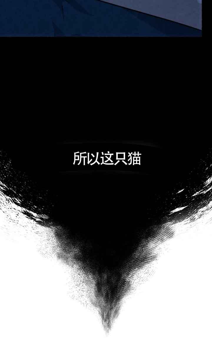 成了每晚和偏执暴君共眠的猫 - 第04话 - 第30张图