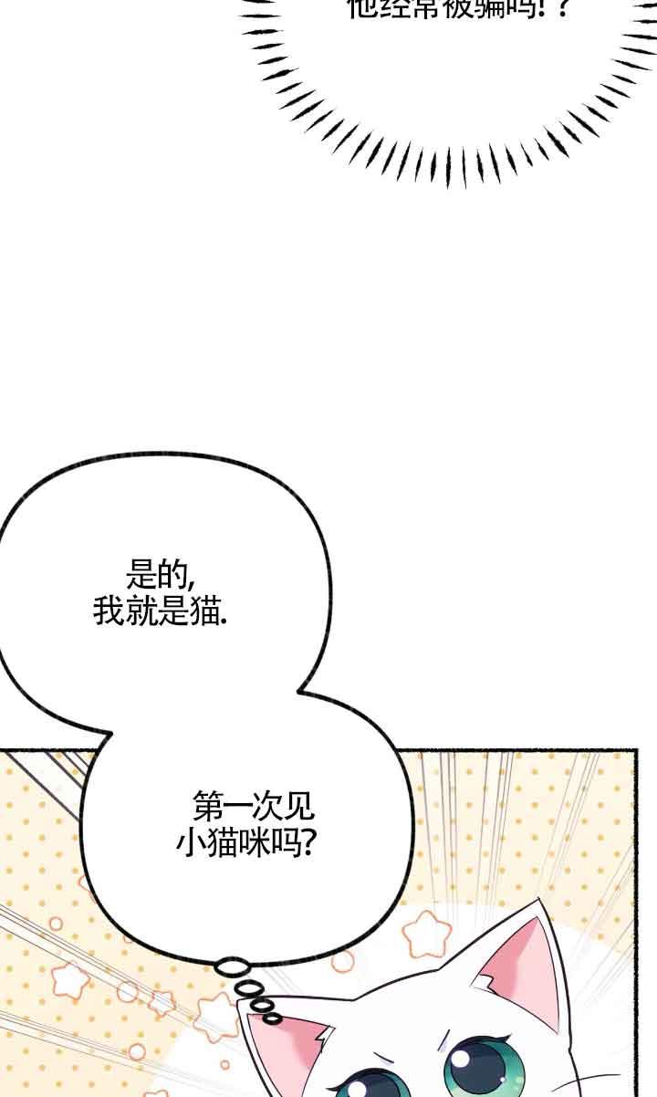 成了每晚和偏执暴君共眠的猫 - 第04话 - 第67张图