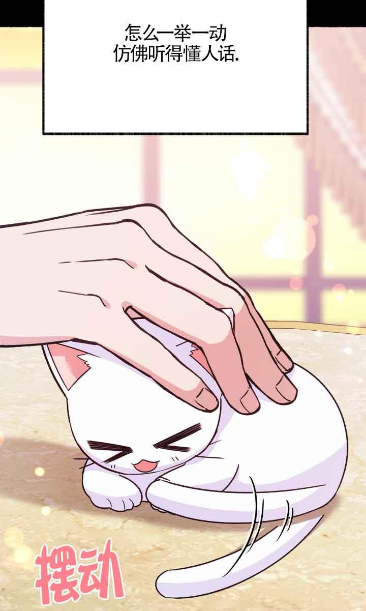成了每晚和偏执暴君共眠的猫 - 第04话 - 第24张图