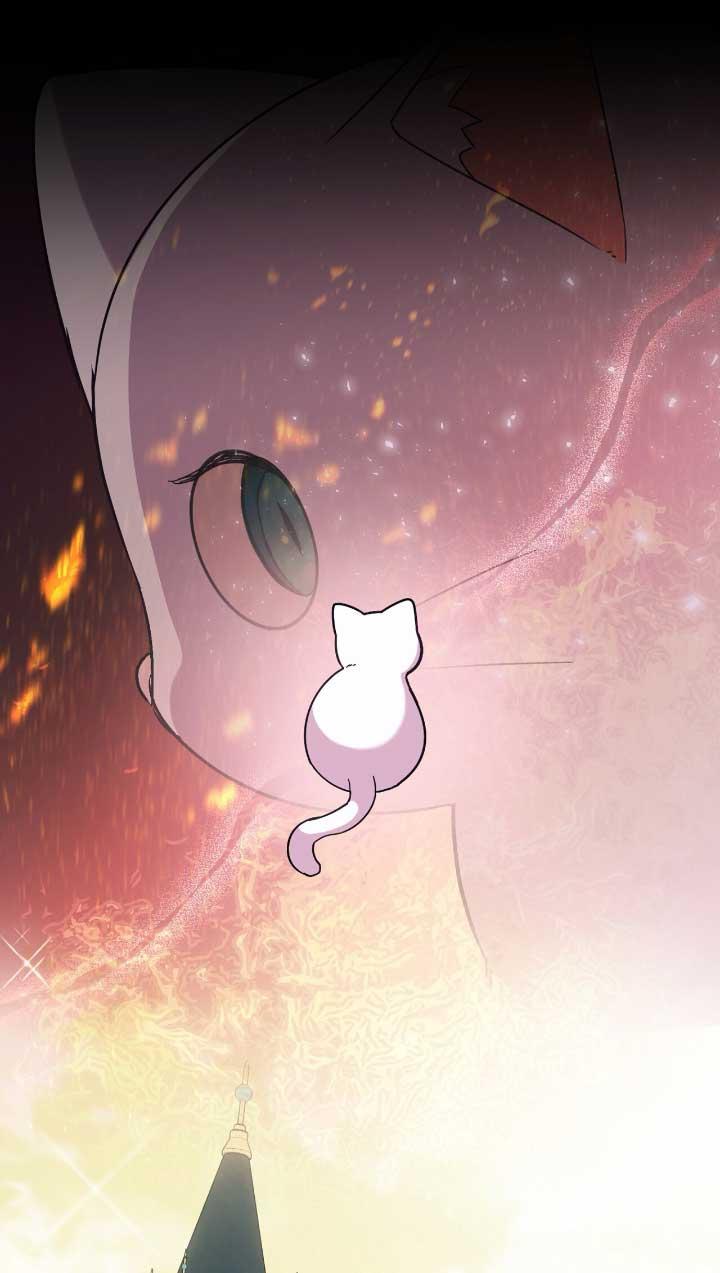 成了每晚和偏执暴君共眠的猫 - 第05话 - 第8张图