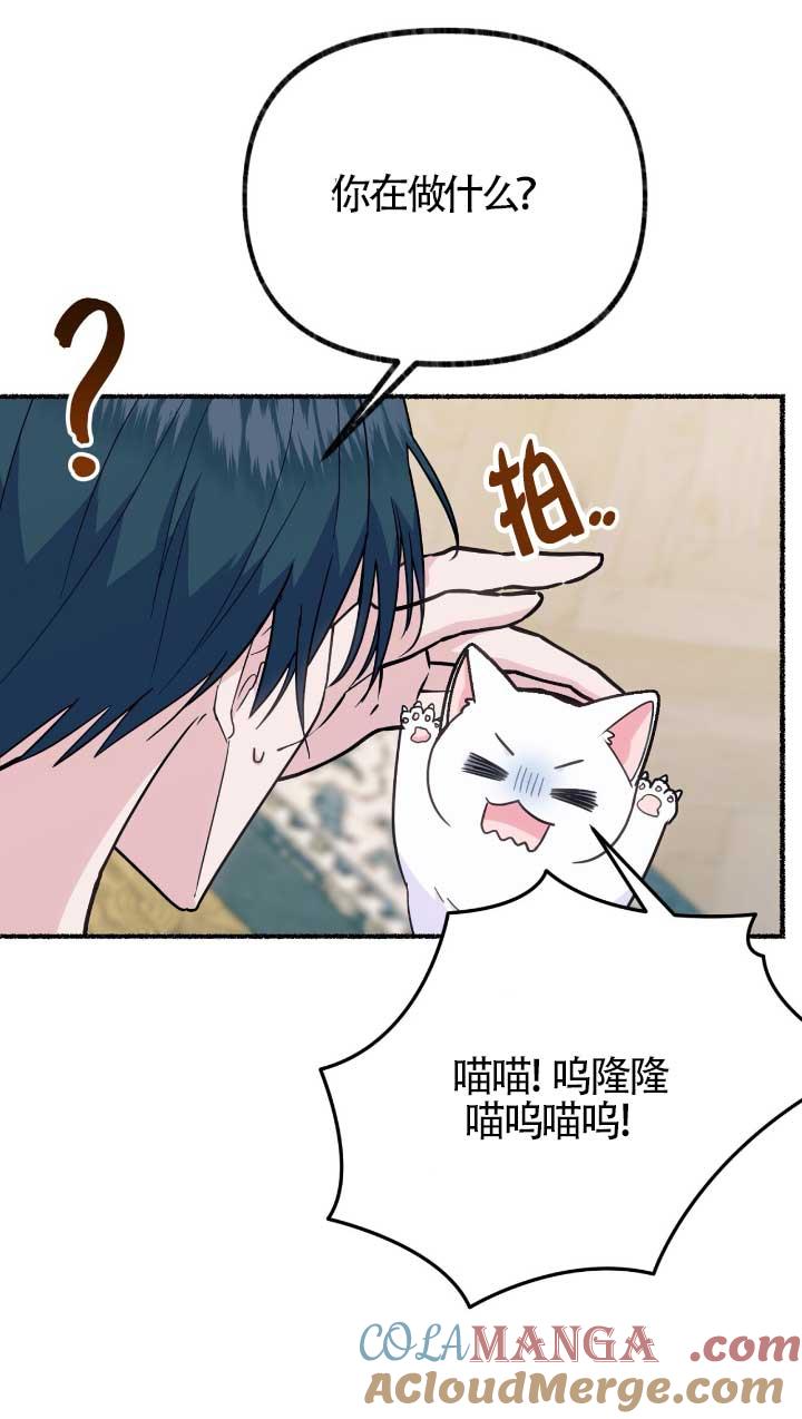成了每晚和偏执暴君共眠的猫 - 第05话 - 第57张图