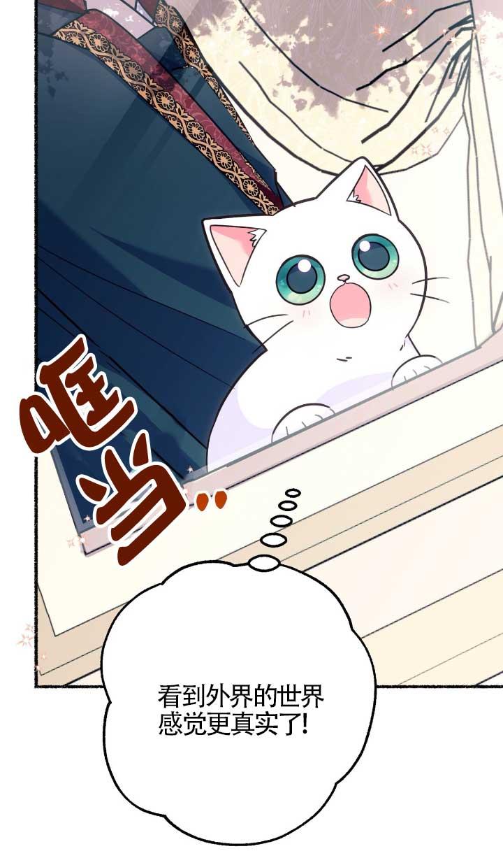 成了每晚和偏执暴君共眠的猫 - 第05话 - 第68张图