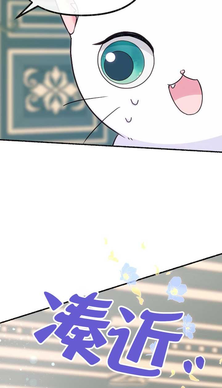 成了每晚和偏执暴君共眠的猫 - 第05话 - 第34张图