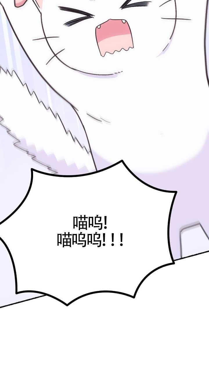 成了每晚和偏执暴君共眠的猫 - 第05话 - 第56张图