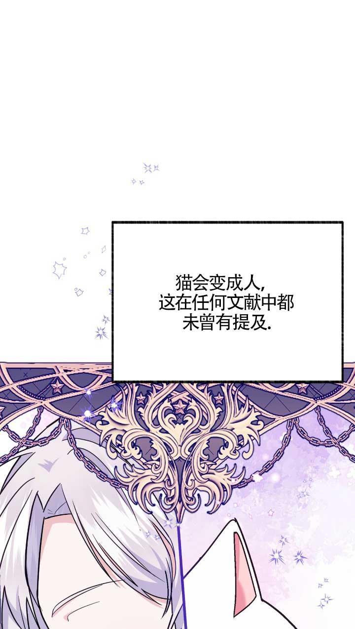 成了每晚和偏执暴君共眠的猫 - 第05话 - 第12张图