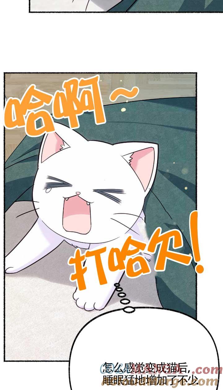 成了每晚和偏执暴君共眠的猫 - 第05话 - 第29张图