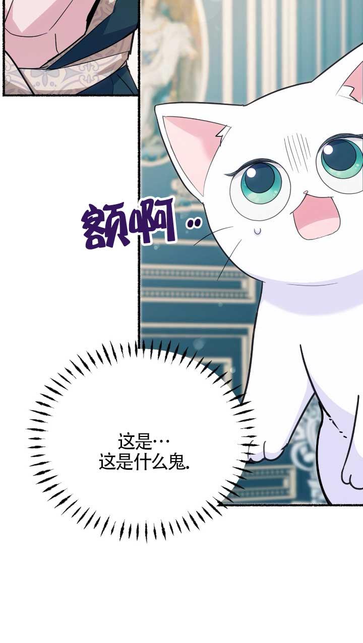 成了每晚和偏执暴君共眠的猫 - 第05话 - 第48张图