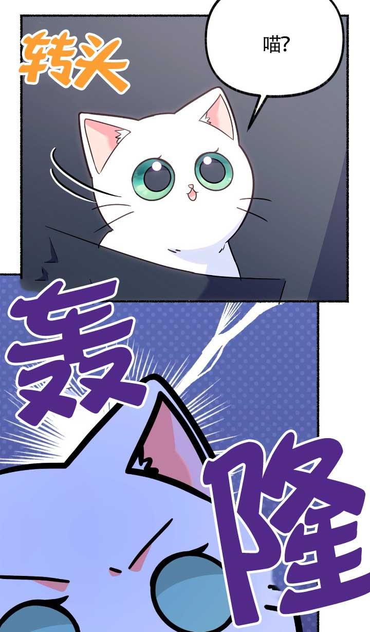 成了每晚和偏执暴君共眠的猫 - 第05话 - 第91张图