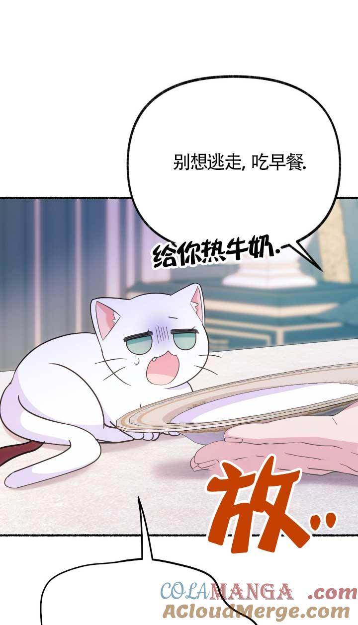 成了每晚和偏执暴君共眠的猫 - 第05话 - 第37张图