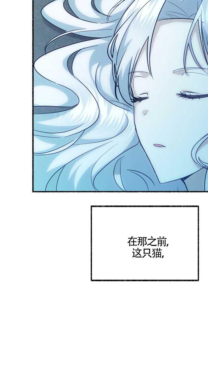 成了每晚和偏执暴君共眠的猫 - 第05话 - 第19张图