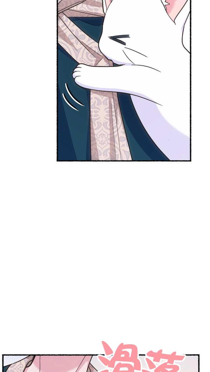 成了每晚和偏执暴君共眠的猫 - 第05话 - 第44张图