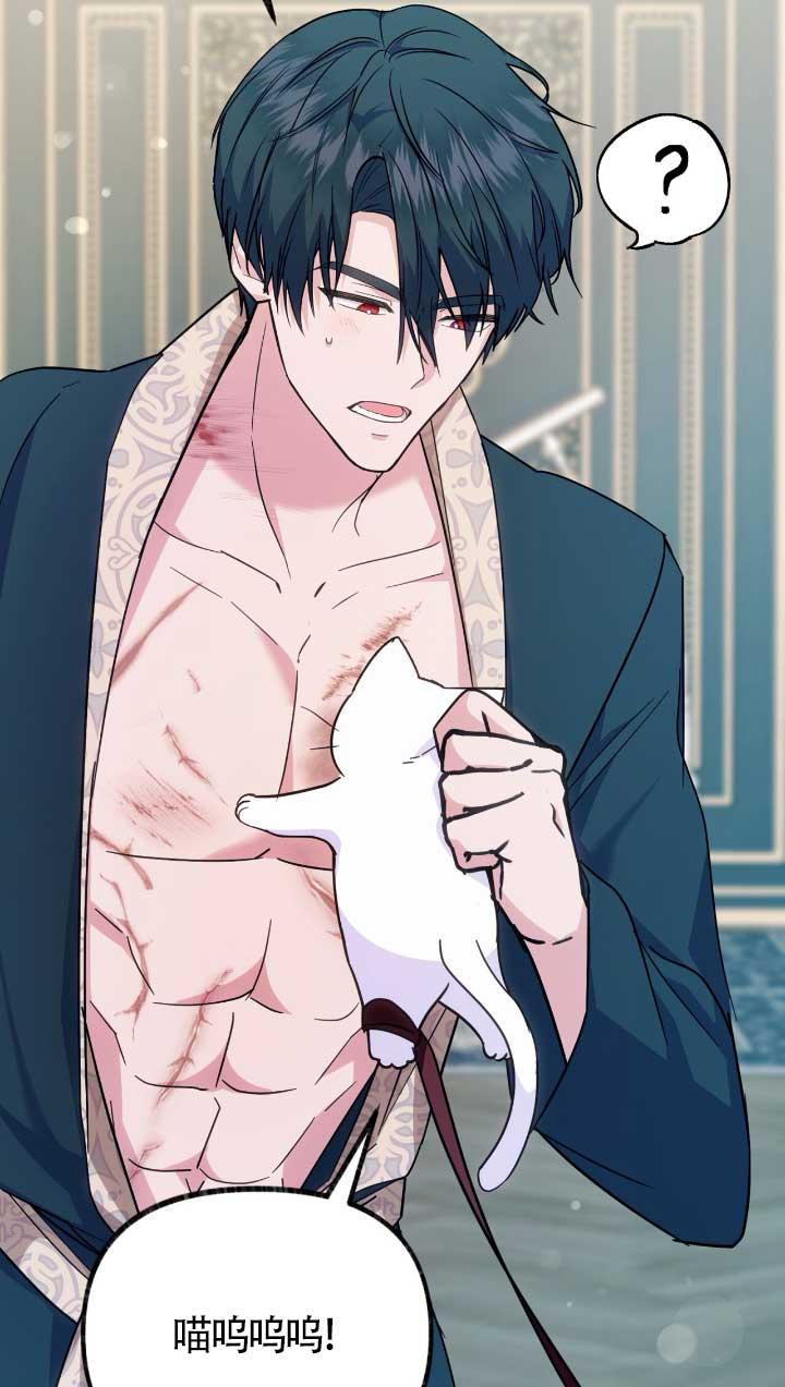 成了每晚和偏执暴君共眠的猫 - 第05话 - 第46张图