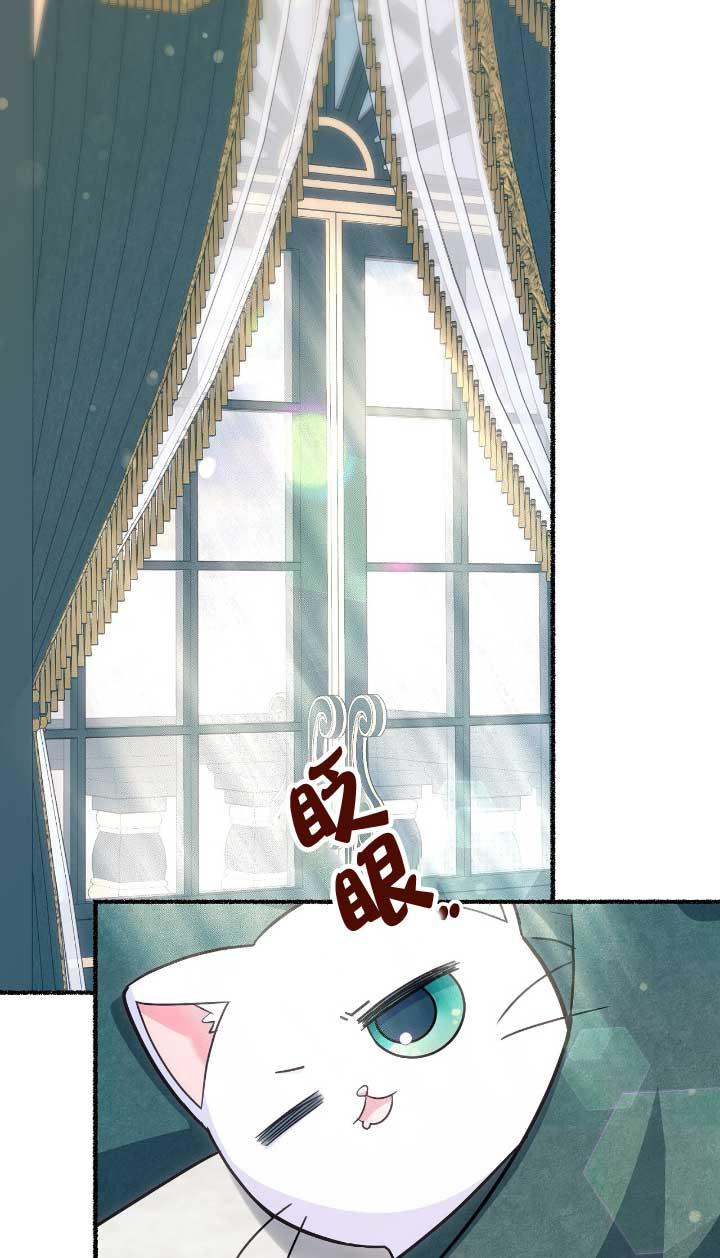 成了每晚和偏执暴君共眠的猫 - 第05话 - 第28张图