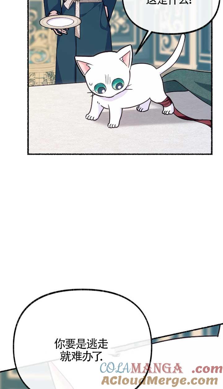 成了每晚和偏执暴君共眠的猫 - 第05话 - 第33张图