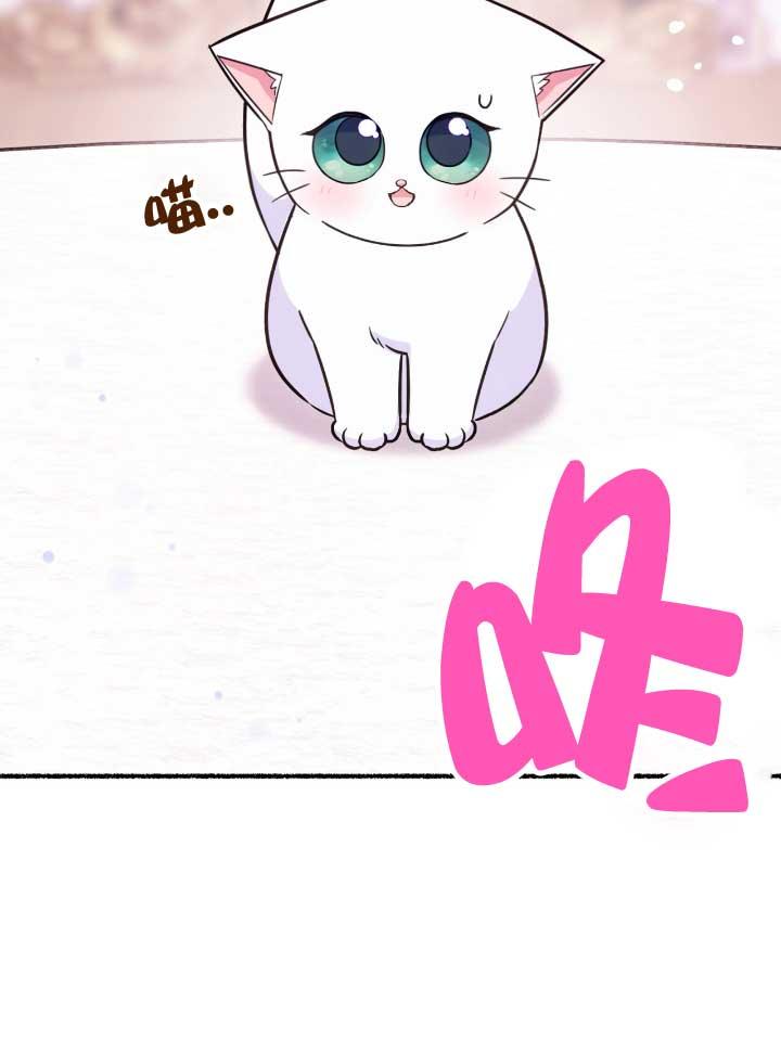 成了每晚和偏执暴君共眠的猫 - 第06话 - 第111张图