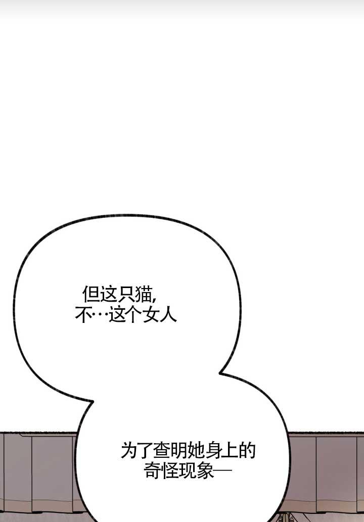 成了每晚和偏执暴君共眠的猫 - 第06话 - 第66张图