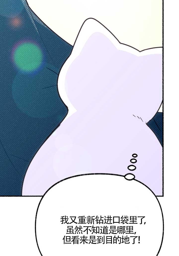 成了每晚和偏执暴君共眠的猫 - 第06话 - 第79张图