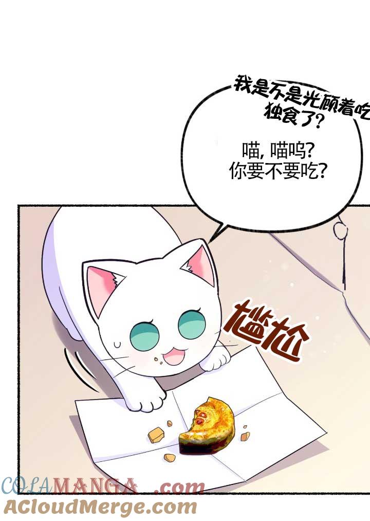 成了每晚和偏执暴君共眠的猫 - 第06话 - 第41张图