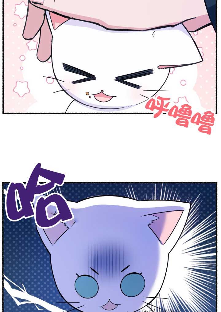 成了每晚和偏执暴君共眠的猫 - 第06话 - 第43张图