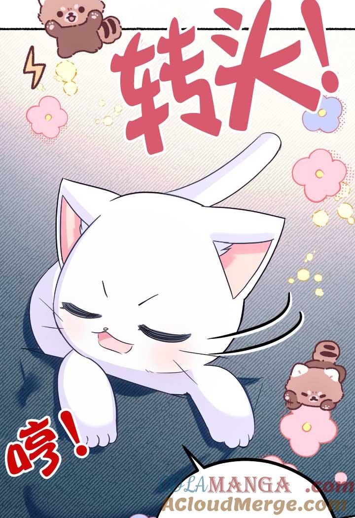 成了每晚和偏执暴君共眠的猫 - 第06话 - 第17张图