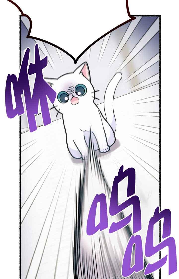 成了每晚和偏执暴君共眠的猫 - 第07话 - 第19张图