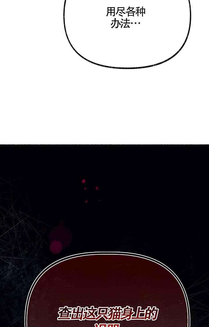 成了每晚和偏执暴君共眠的猫 - 第07话 - 第2张图