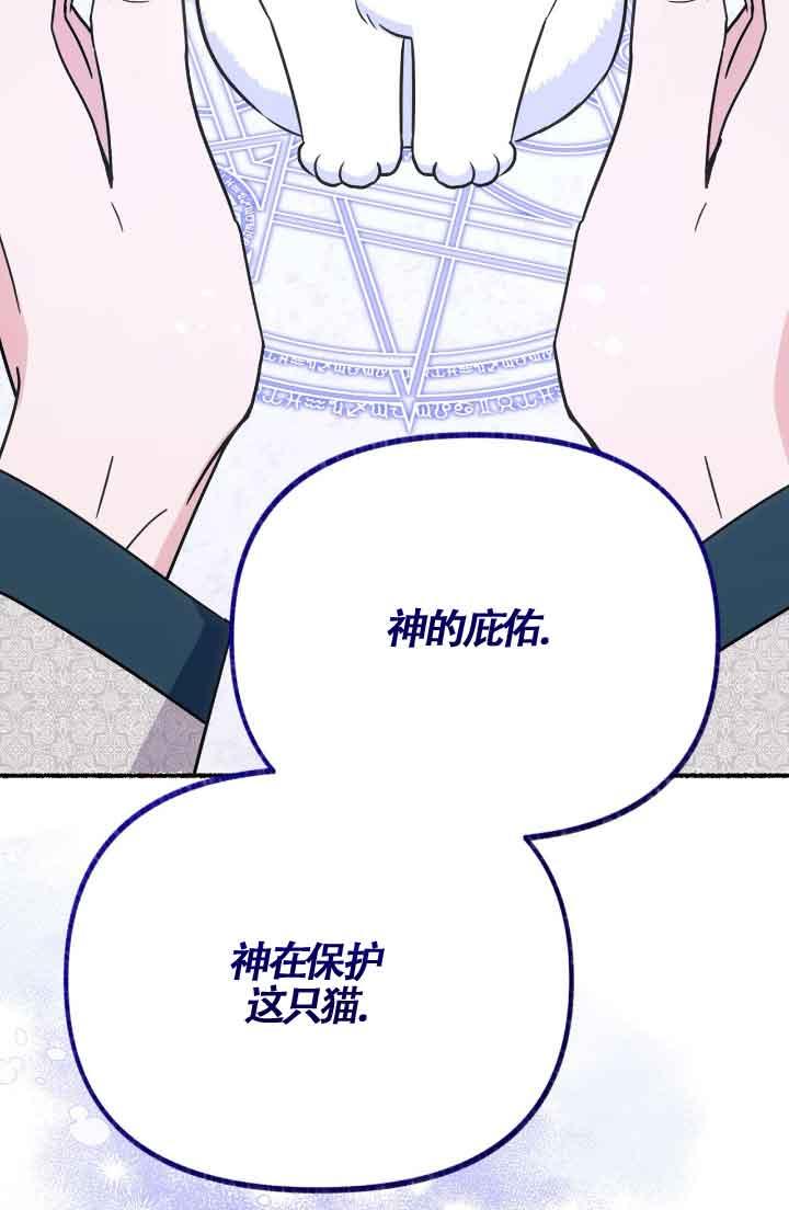 成了每晚和偏执暴君共眠的猫 - 第07话 - 第75张图