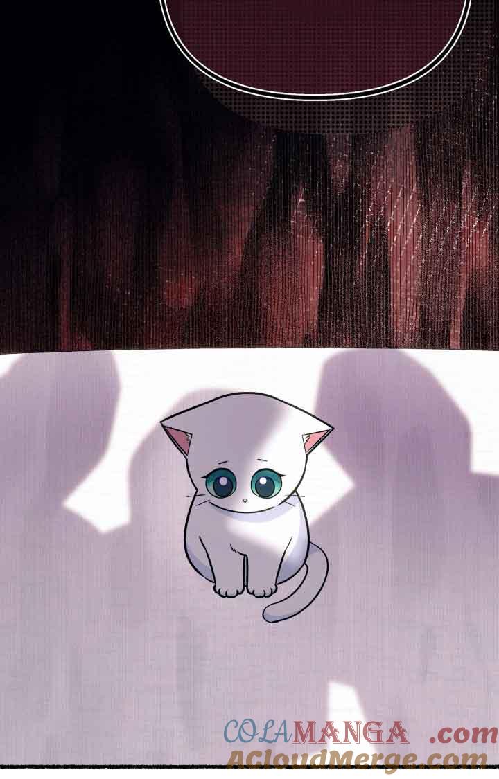 成了每晚和偏执暴君共眠的猫 - 第07话 - 第37张图