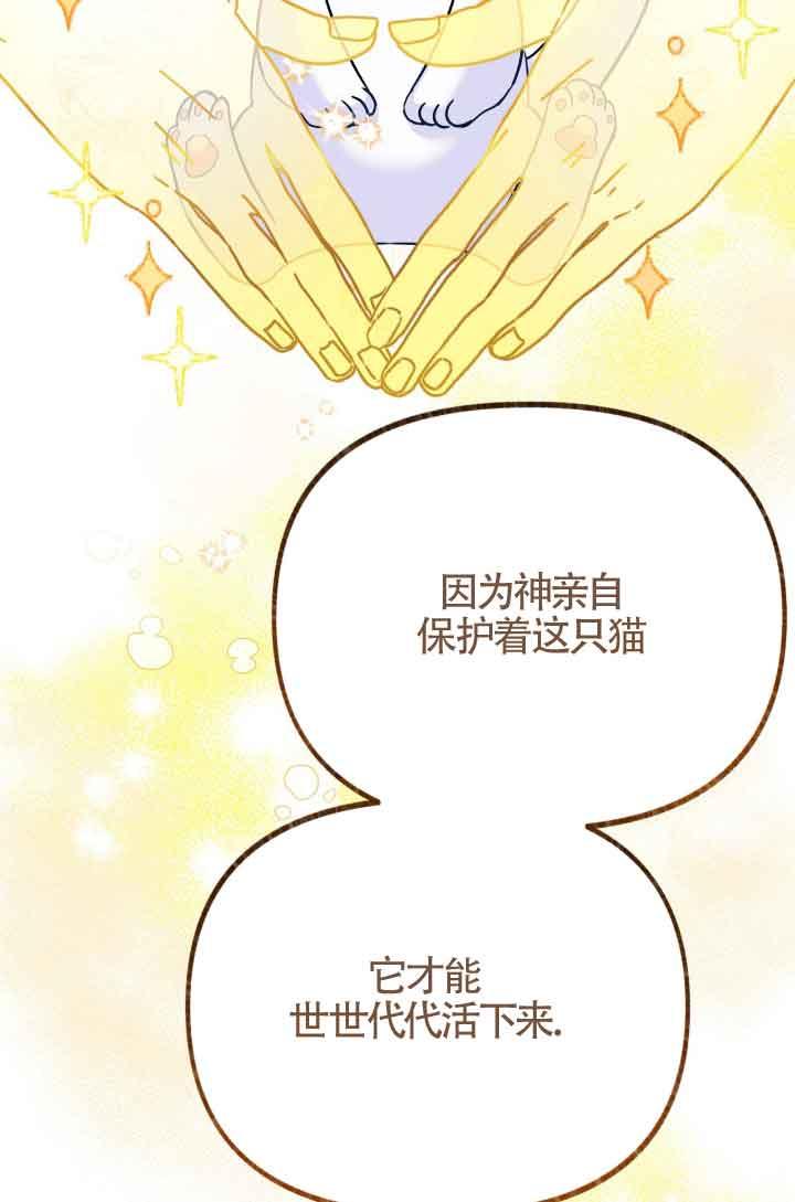 成了每晚和偏执暴君共眠的猫 - 第07话 - 第82张图