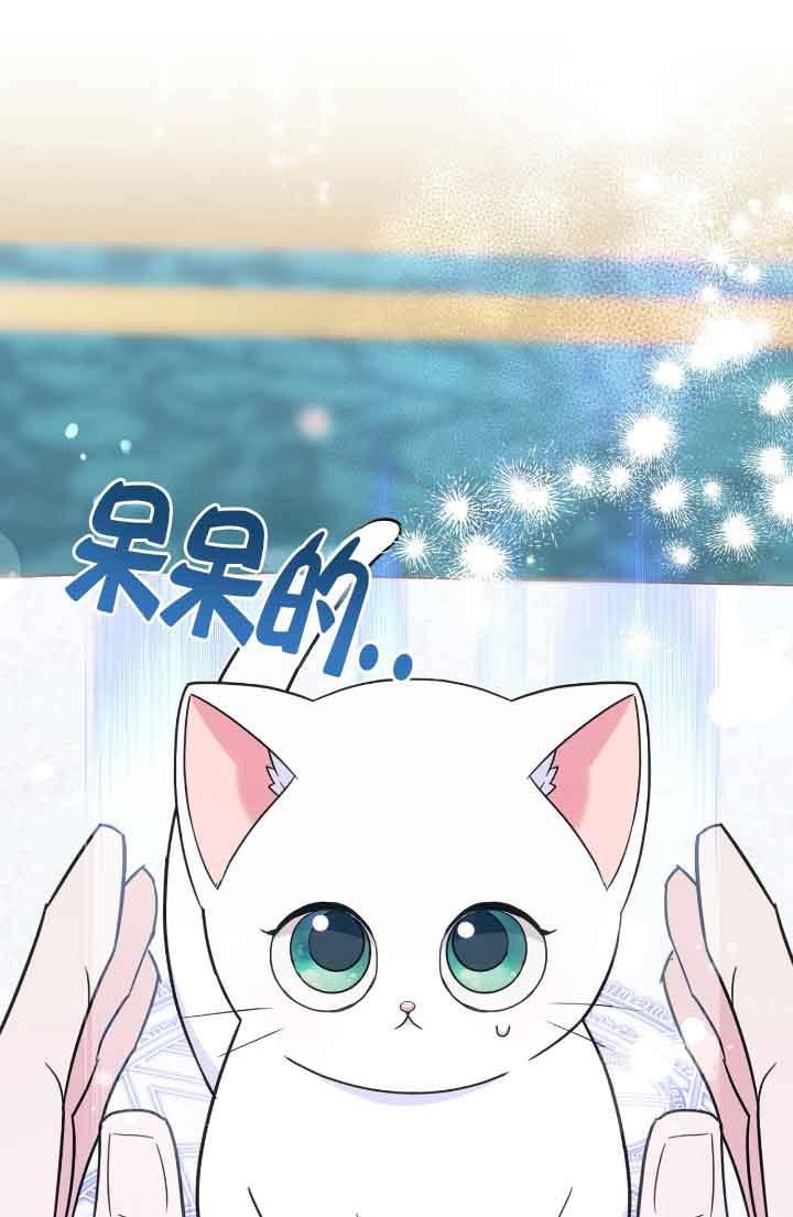 成了每晚和偏执暴君共眠的猫 - 第07话 - 第74张图