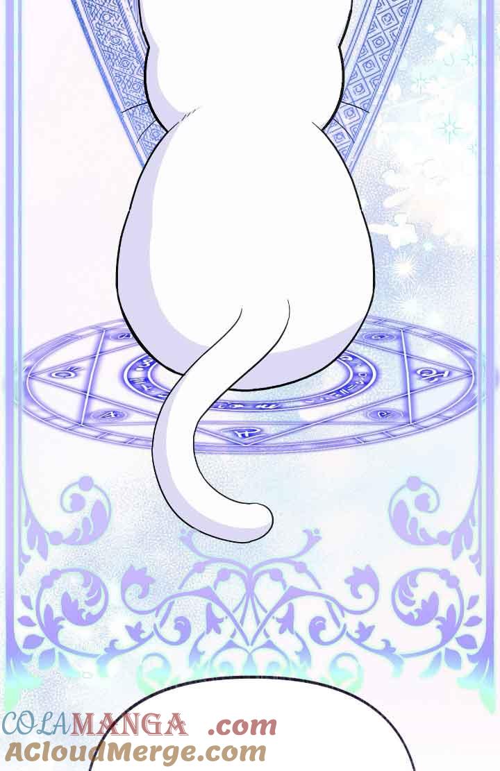 成了每晚和偏执暴君共眠的猫 - 第08话 - 第13张图