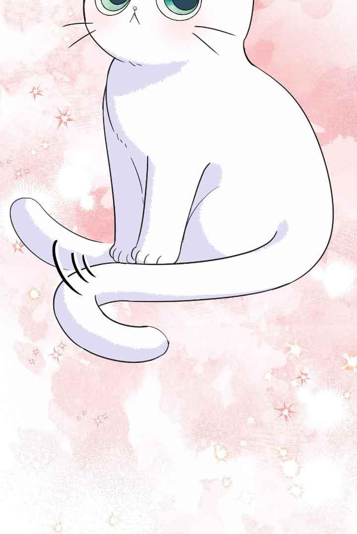 成了每晚和偏执暴君共眠的猫 - 第08话 - 第94张图