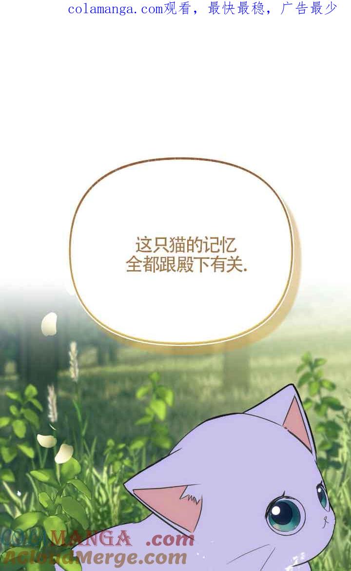 成了每晚和偏执暴君共眠的猫 - 第08话 - 第1张图