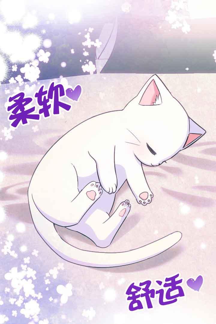 成了每晚和偏执暴君共眠的猫 - 第08话 - 第87张图