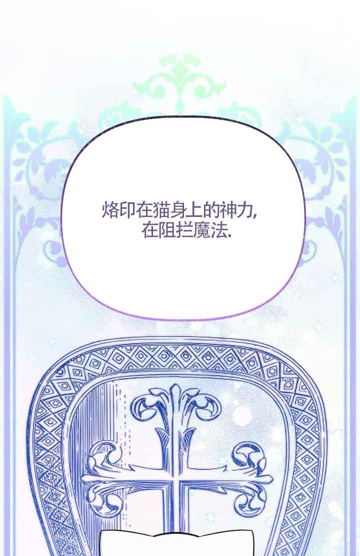 成了每晚和偏执暴君共眠的猫 - 第08话 - 第12张图