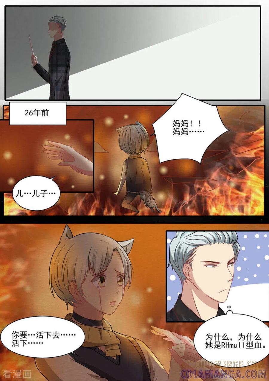 《嗨，首领大人》第35话 第15页
