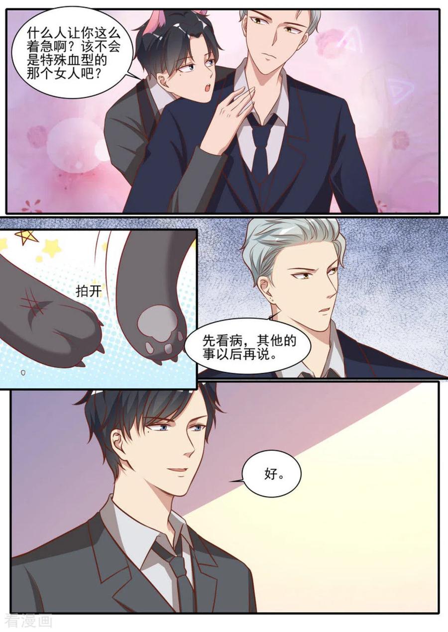 《嗨，首领大人》第41话 第12页