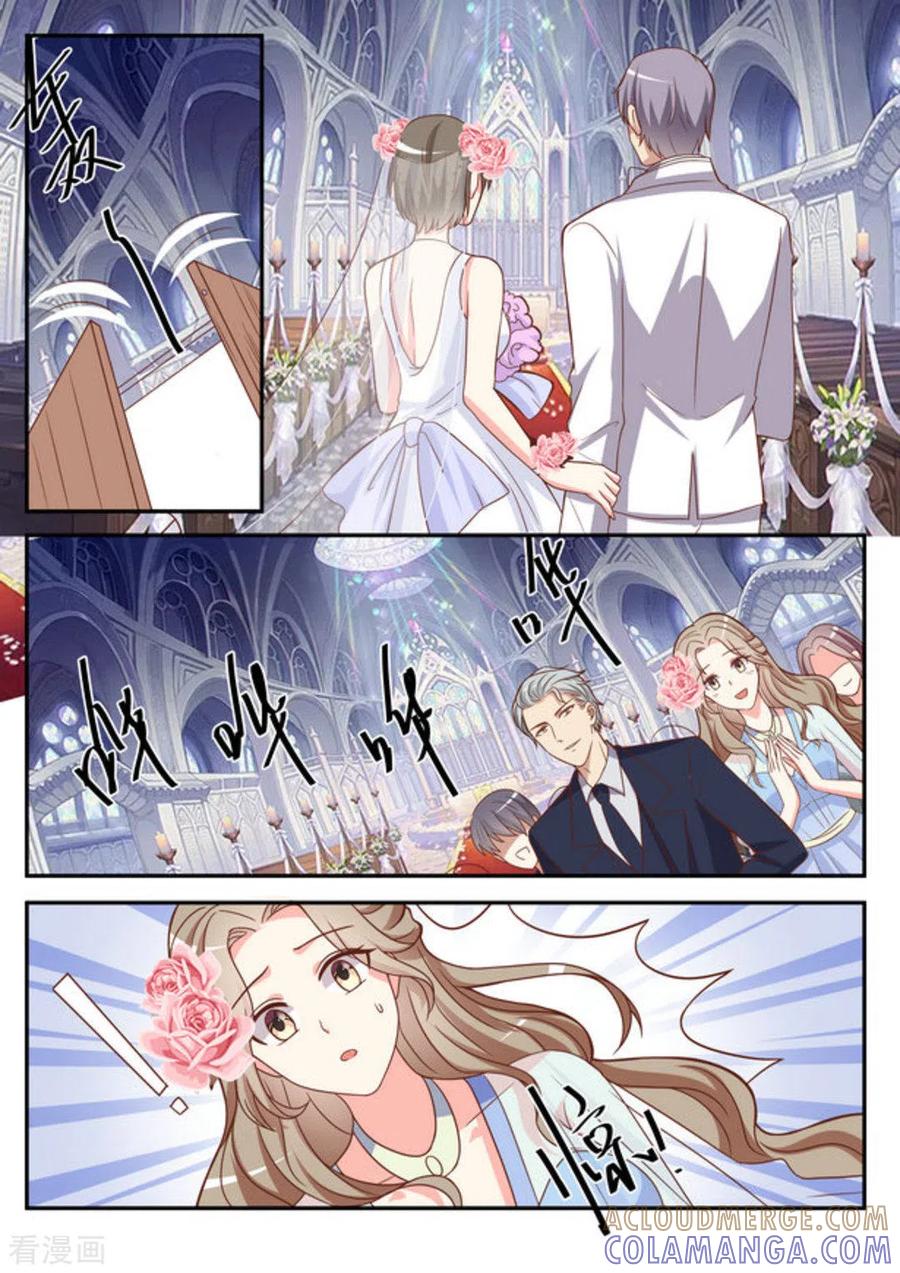 《嗨，首领大人》第47话 第5页