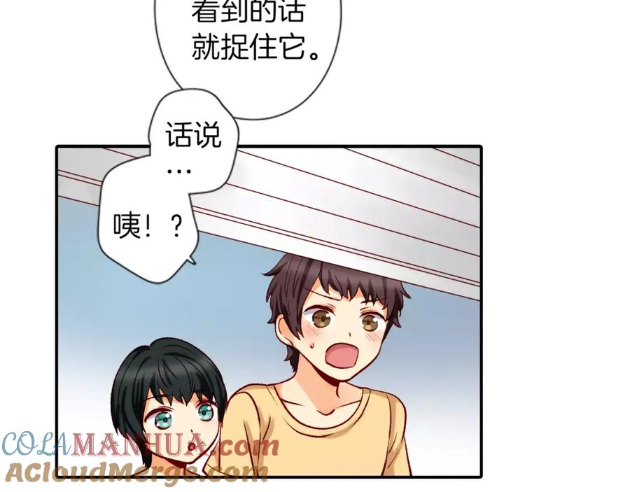 《成年人的一见钟情》第11话 你的家人 第34页