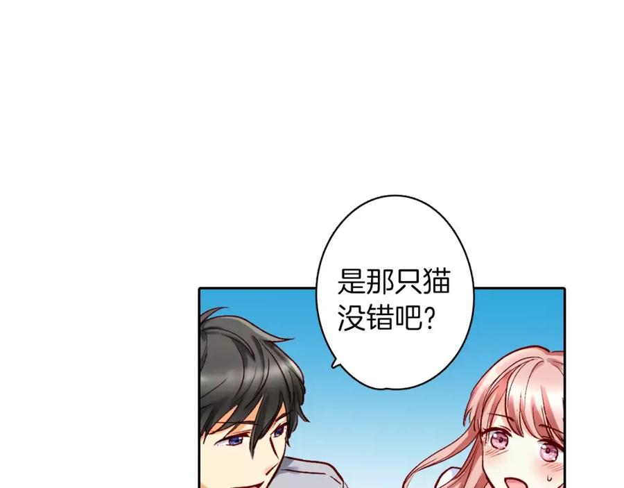 《成年人的一见钟情》第12话 恋爱不分顺序 第3页