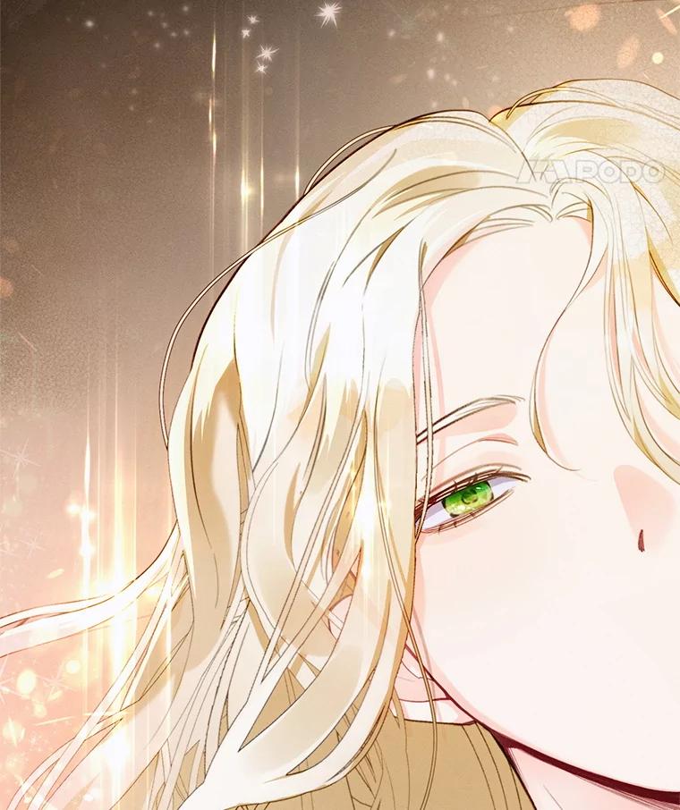 《成为被诅咒的公爵家的女主人》1.成为公爵妻子 第28页
