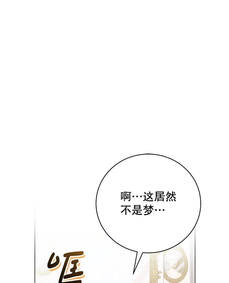 《成为被诅咒的公爵家的女主人》1.成为公爵妻子 第74页
