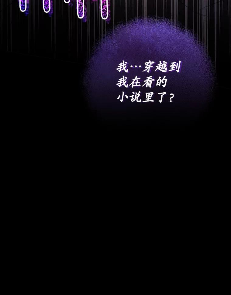 《成为被诅咒的公爵家的女主人》1.成为公爵妻子 第46页
