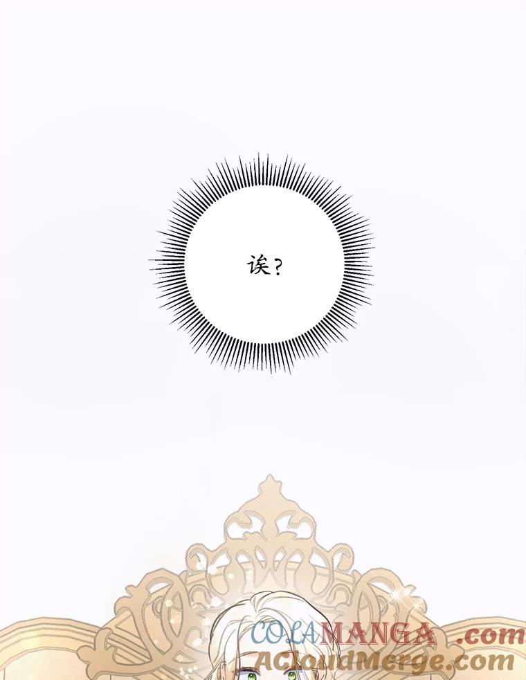 《成为被诅咒的公爵家的女主人》1.成为公爵妻子 第33页