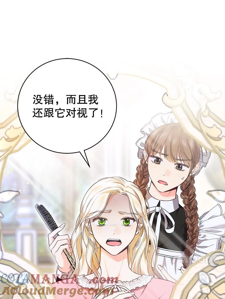 《成为被诅咒的公爵家的女主人》3.看见“龙”了 第17页