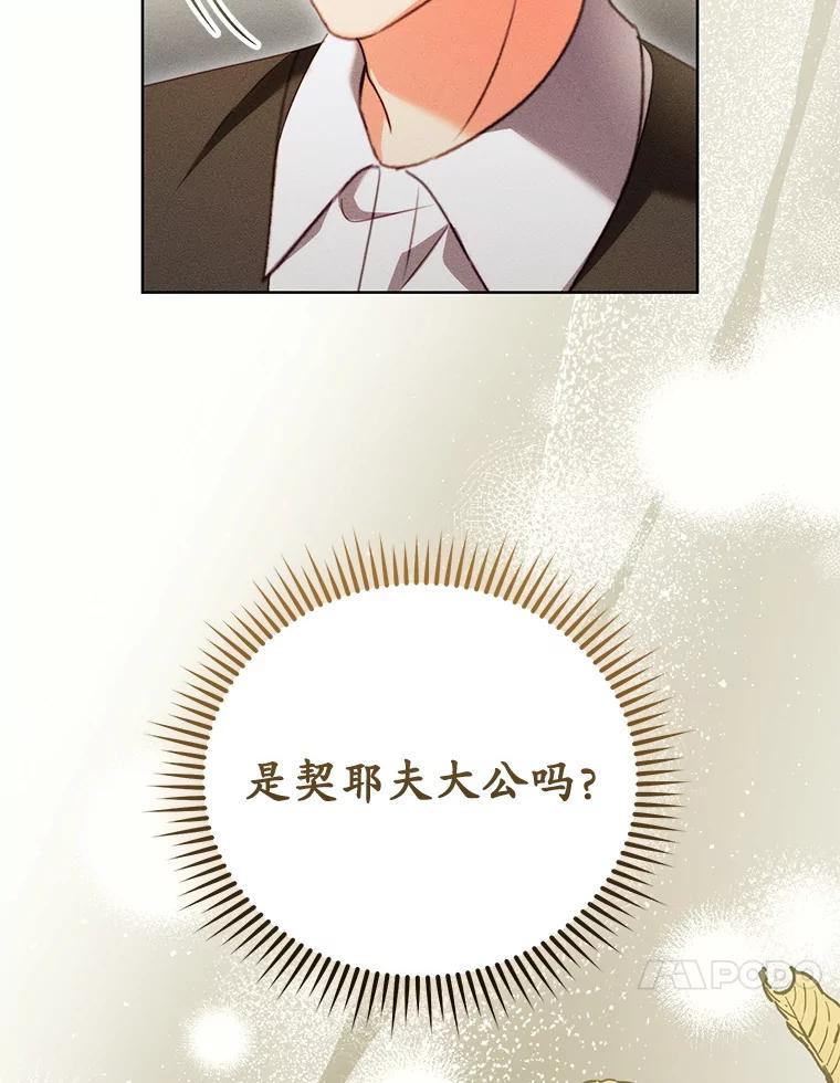 《成为被诅咒的公爵家的女主人》45.一起赶集 第87页