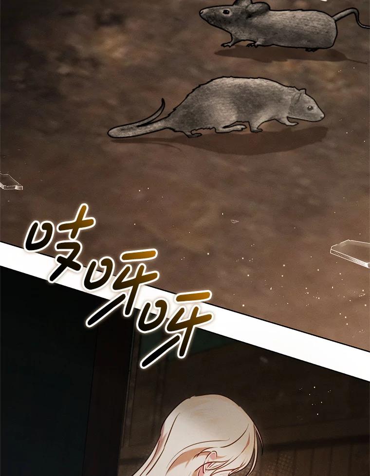 《成为被诅咒的公爵家的女主人》4.7年前的事 第100页